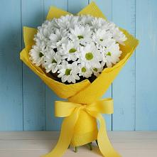 Букет цветов из:  Хризантемы в Краснозаводске