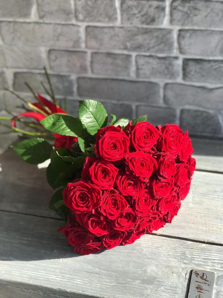 Букет Красные розы Фридом в Краснозаводске