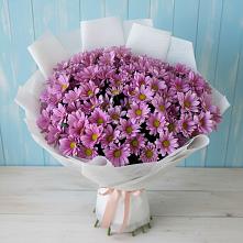 Букет цветов из:  Хризантемы в Краснозаводске