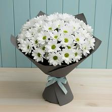 Букет цветов из:  Хризантемы #REPLACE_PRED# Краснозаводске