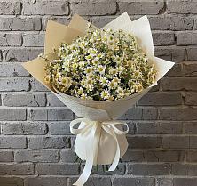 Букет цветов из:  Ромашки #REPLACE_PRED# Краснозаводске
