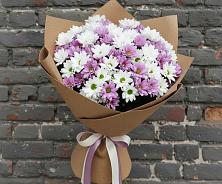 Букет цветов из:  Хризантемы в Краснозаводске