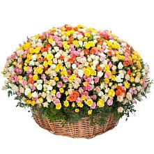 Премиум букет из: Розы #REPLACE_PRED# Краснозаводске