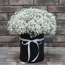 Цветочная композиция из Гипсофила в шляпной коробке в Краснозаводске