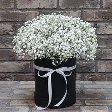 Цветочная композиция из Гипсофила в шляпной коробке в Краснозаводске