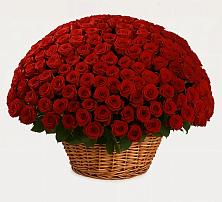 Премиум букет из: Розы в Краснозаводске